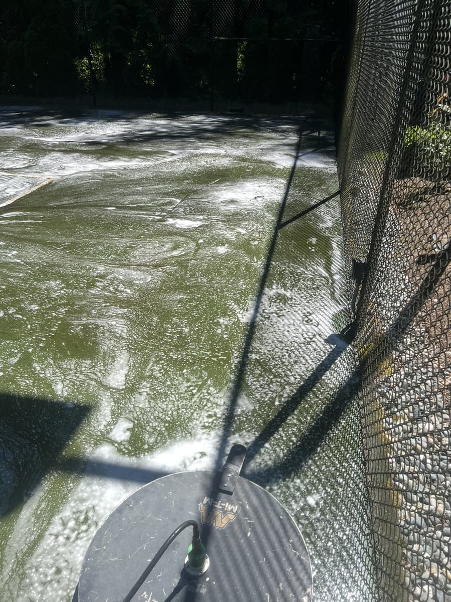 Sport court covered in grime and moss during cleaning